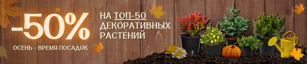 Акция на топ 50 декоративных