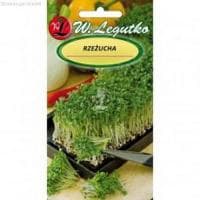 Кресс-салат (Польша) Кресс-салат (Польша) фото