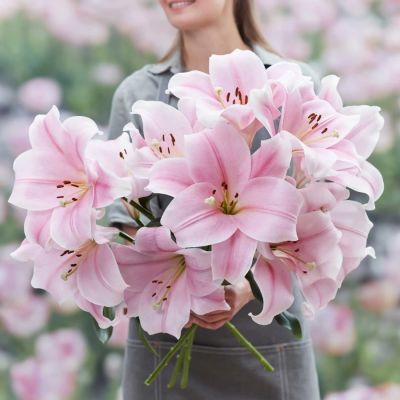 Лилия Кали - Dolina-Sad.Ru