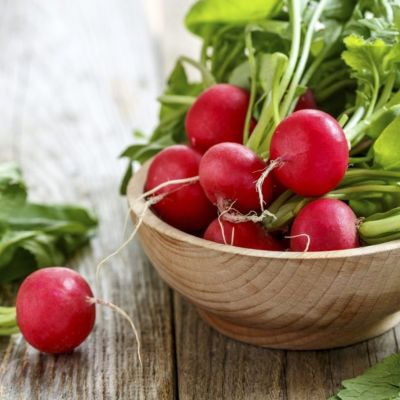 Редис Ровер F1 (Голландия) Редис Ровер F1 (Голландия) - Dolina-Sad.Ru