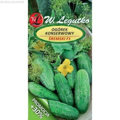 Огурец Сремский (Польша) Огурец Сремский (Польша) фото