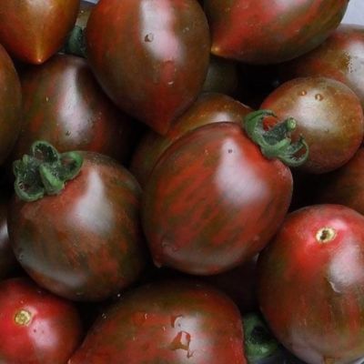 Томат Монисто шоколадное автор. Томат Монисто шоколадное автор. - Dolina-Sad.Ru