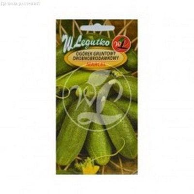 Огурец Марсель (Польша) Огурец Марсель (Польша) фото