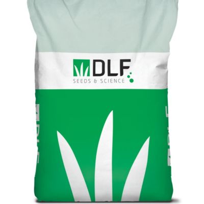 Газонная трава Парк DLF-Trifoum фото