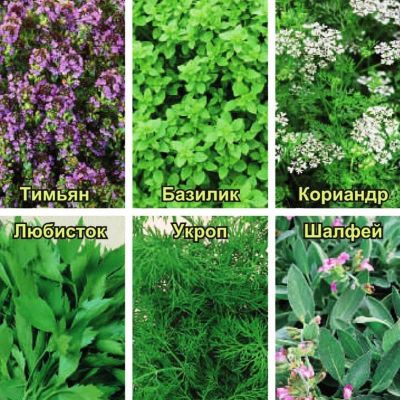 Кухонные пряности К РЫБЕ фото